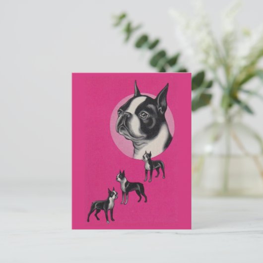 Boston Terrier Postkarte (Stehend Vorderseite)