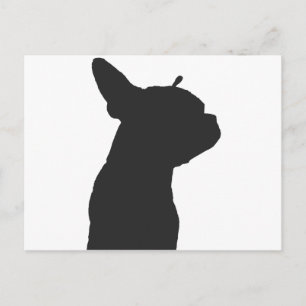 Boston Terrier Postkarte