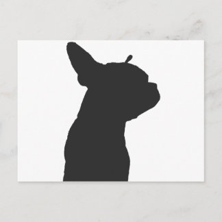 Boston Terrier Postkarte