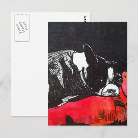 Boston Terrier Postkarte (Vorne/Hinten)