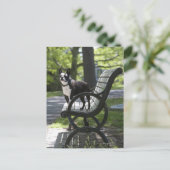 Boston Terrier Postkarte (Stehend Vorderseite)