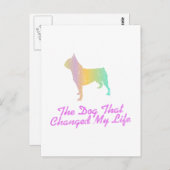 Boston Terrier Postkarte (Vorne/Hinten)