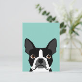 Boston Terrier Postkarte (Stehend Vorderseite)