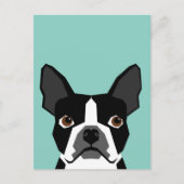 Boston Terrier Postkarte (Vorderseite)