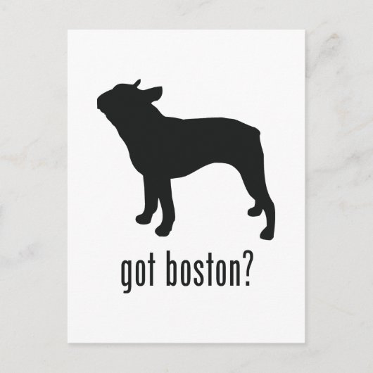 Boston Terrier Postkarte (Vorderseite)