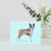 Boston Terrier Postkarte (Stehend Vorderseite)