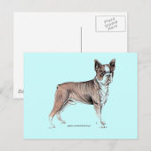 Boston Terrier Postkarte (Vorne/Hinten)