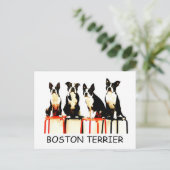 BOSTON TERRIER POSTKARTE (Stehend Vorderseite)