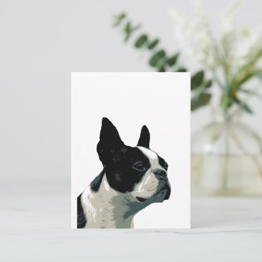 Boston Terrier Postkarte (Stehend Vorderseite)
