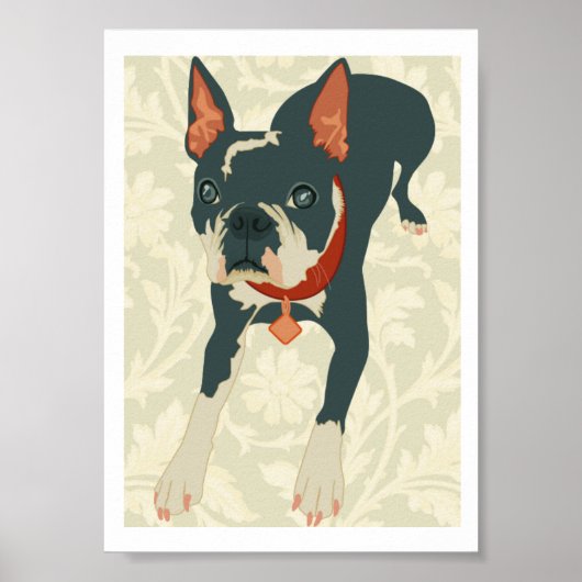 Boston Terrier Print Poster (Vorne)