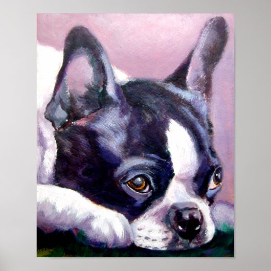 Boston Terrier Print Poster (Vorne)