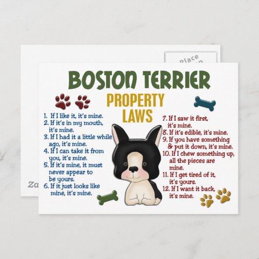 Boston Terrier Property Laws 4 Postkarte (Vorne/Hinten)