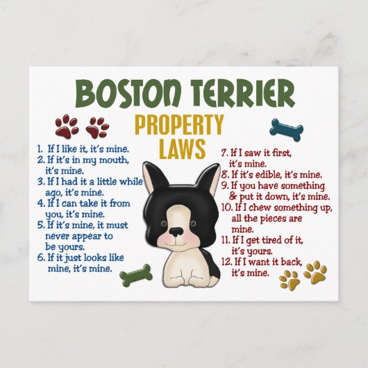 Boston Terrier Property Laws 4 Postkarte (Vorderseite)