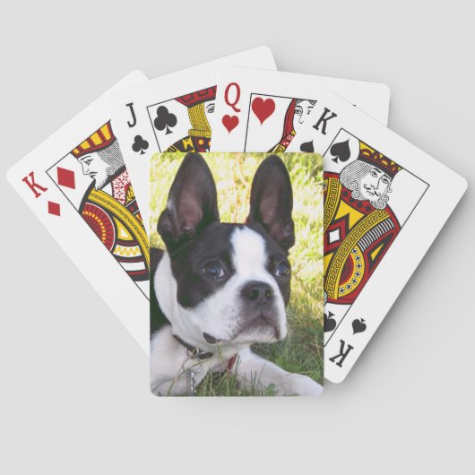 Boston Terrier Pup Deck Karten Spielkarten (Rückseite)