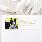 Boston Terrier Pup Mailing Labels (Insitu)