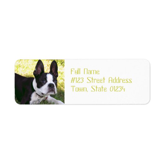 Boston Terrier Pup Mailing Labels (Vorne)