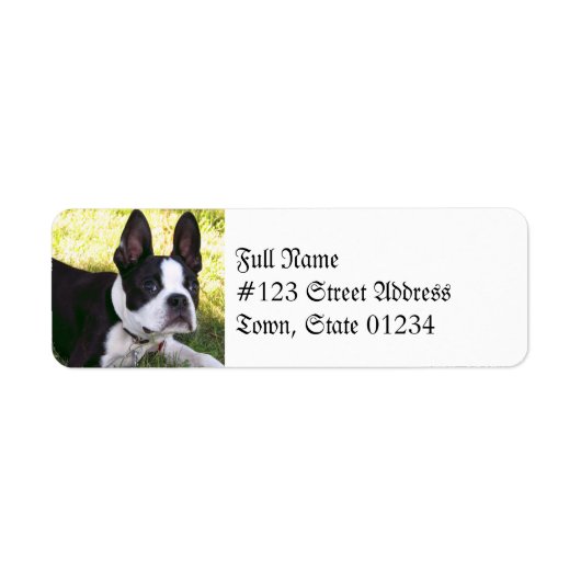 Boston Terrier Pup Mailing Labels (Vorne)