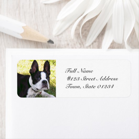Boston Terrier Pup Mailing Labels (Insitu)