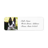 Boston Terrier Pup Mailing Labels (Vorne)