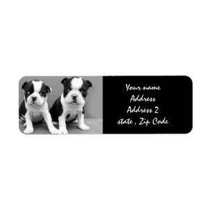 Boston Terrier Puppies Anschrift Labels