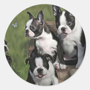 Boston Terrier Puppies Runder Aufkleber