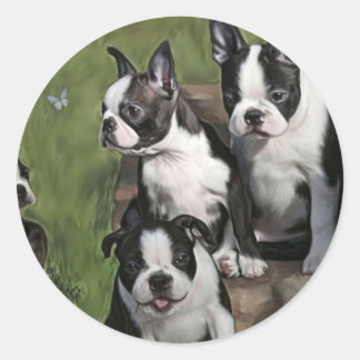 Boston Terrier Puppies Runder Aufkleber