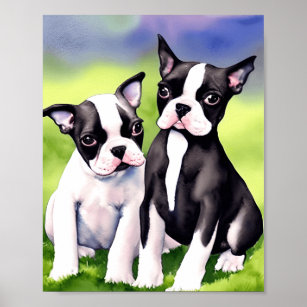 Boston Terrier Puppies Wasserfarben Kunst, Dichtun Poster