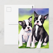 Boston Terrier Puppies Watercolor Postkarte (Vorne/Hinten)