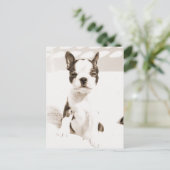 Boston Terrier Puppy 2 Postkarte (Stehend Vorderseite)