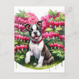 Boston Terrier Puppy Bleeding Herz-Blume Postkarte