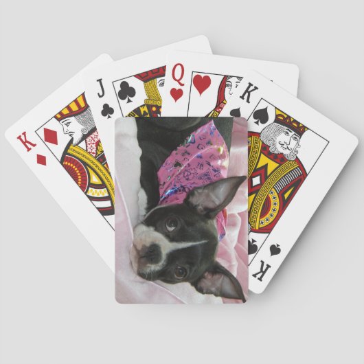 Boston Terrier Puppy Dog Spielkarten (Rückseite)