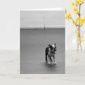 Boston Terrier Puppy DRU Karte (Gelbe Blume)