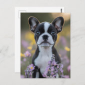 Boston Terrier Puppy Lupine Blume Postkarte (Vorne/Hinten)