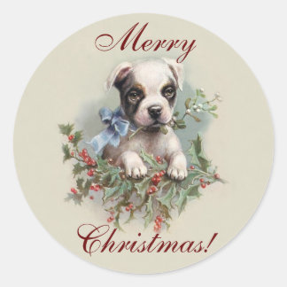 Boston Terrier Puppy - Niedlicher Weihnachtsurlaub Runder Aufkleber