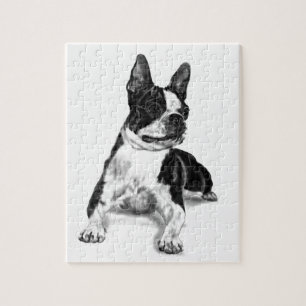 Boston Terrier Puzzle