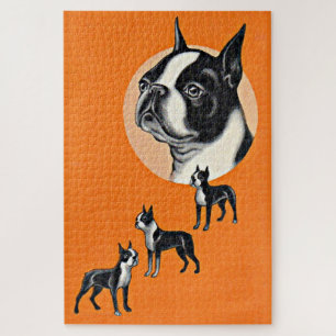 Boston Terrier Puzzle