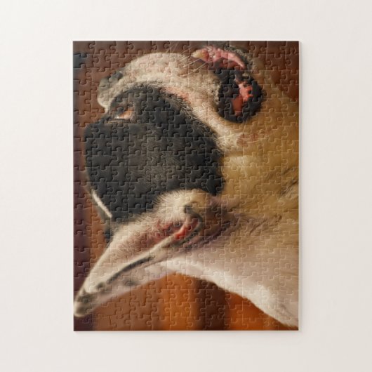 Boston Terrier Puzzle (Vertikal)