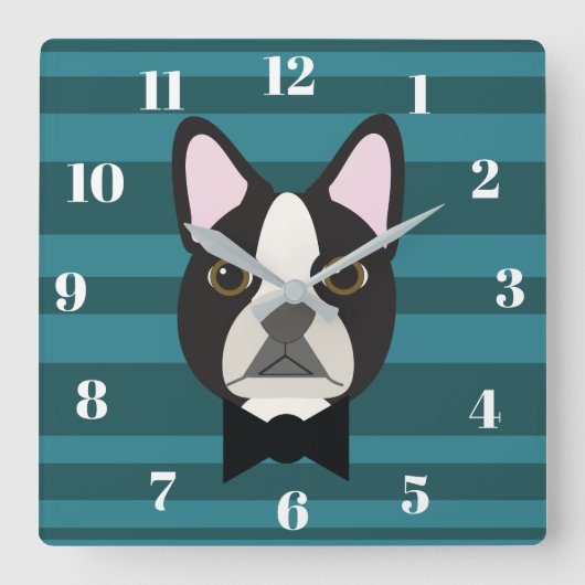 Boston Terrier Quadratische Wanduhr (Vorderseite)