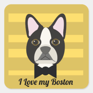 Boston Terrier Quadratischer Aufkleber