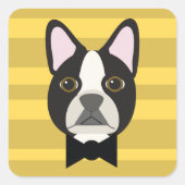 Boston Terrier Quadratischer Aufkleber (Vorderseite)