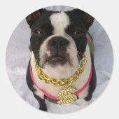 Boston Terrier Rapper Runder Aufkleber (Vorderseite)