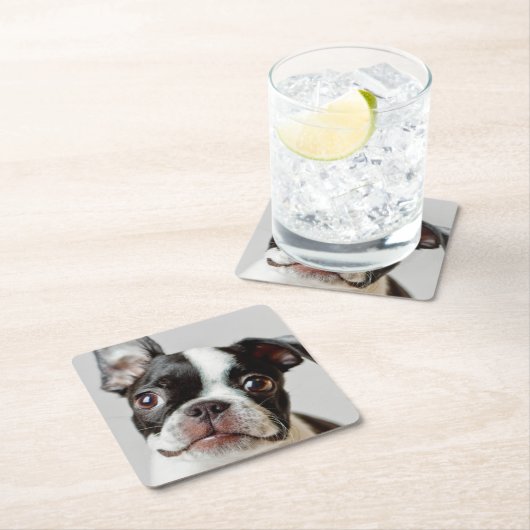 Boston Terrier Rechteckiger Pappuntersetzer (Vor Ort)