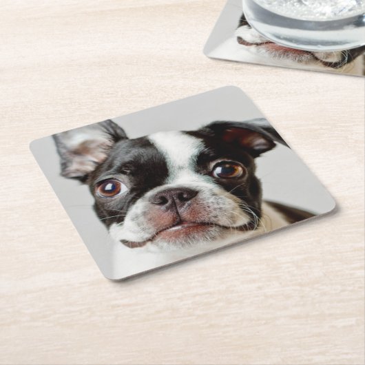Boston Terrier Rechteckiger Pappuntersetzer (angewinkelt)