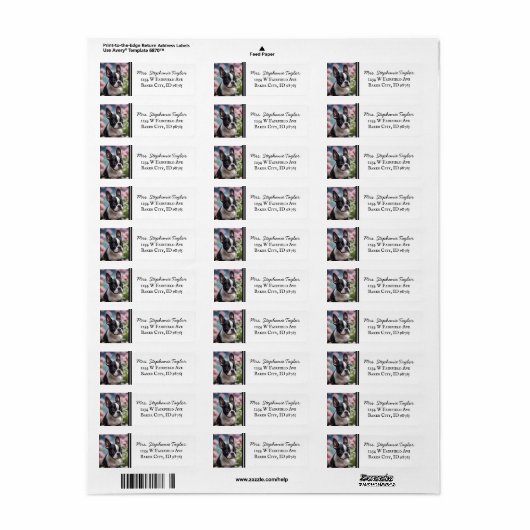 Boston Terrier Return Address Label (Vorne)