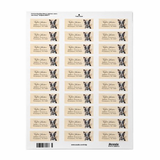 Boston Terrier Return Address Label (Vorne)