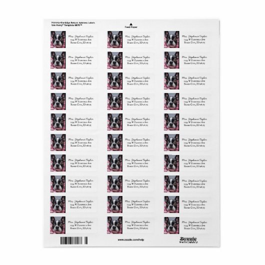 Boston Terrier Return Address Label (Vorne)