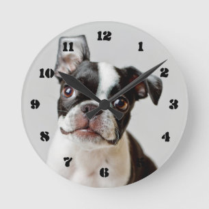 Boston Terrier Runde Wanduhr