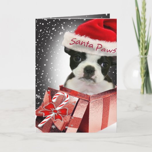 Boston Terrier Santa Paws Cards Feiertagskarte (Vorderseite)