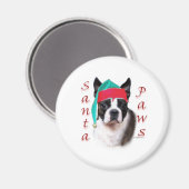 Boston Terrier Santa Paws Magnet (Vorderseite/Rückseite)