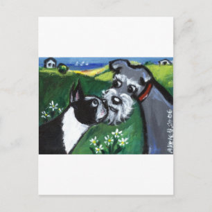 Boston Terrier & Schnauzer Sniff Postkarte